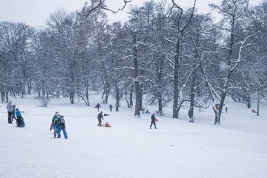 Sibiu, Romanya - 12 Ocak 2019. Kış zamanı kar üzerinde oynayan bir grup çocuk ve yetişkin.