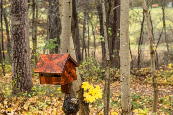 Uma Casa Pássaros Madeira Construída Com Suas Próprias Mãos Pintada — Fotografia de Stock