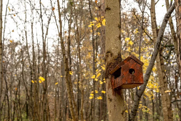 Una Pajarera Madera Construida Con Sus Propias Manos Pintada Con — Foto de Stock