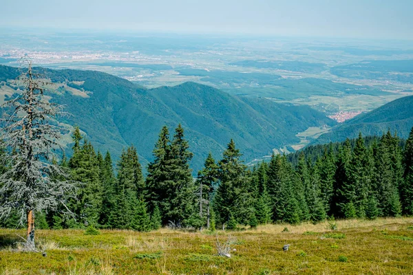 Beautiful View Cindrel Mountains Romania — Stock Photo, Image