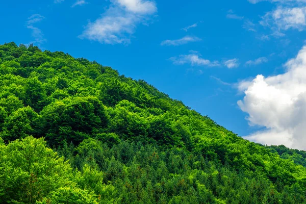 Céu Azul Com Verde Exuberante Gama Montanhas Romena Vista Diagonal — Fotografia de Stock