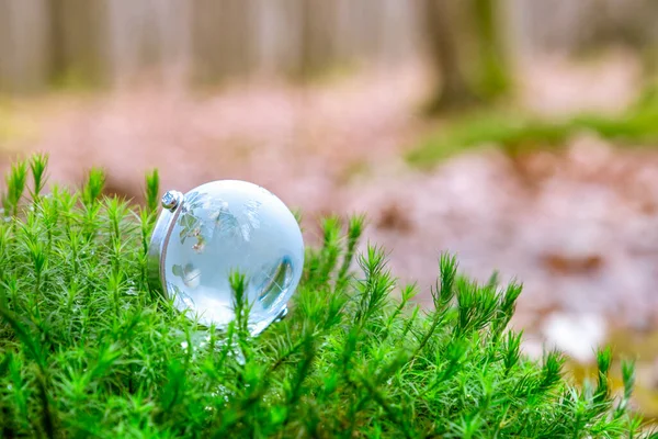 Globe Glass Green Forest — Stock Photo, Image