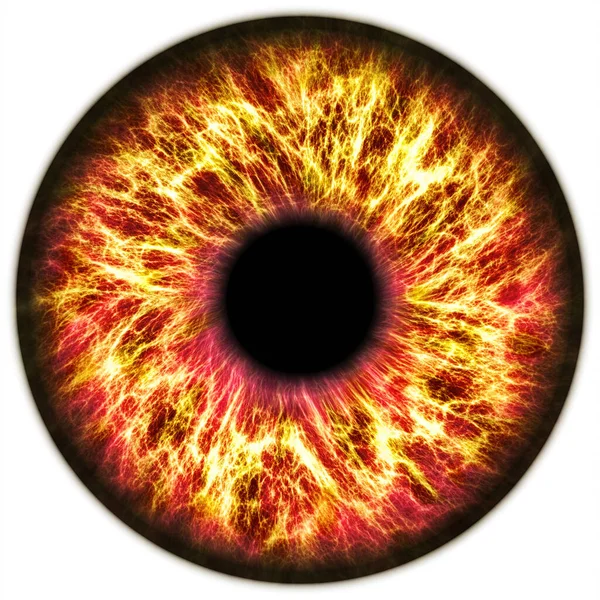 Kırmızı insan süsen çiçeği tasviri. Dijital sanat eseri yaratıcı grafik tasarımı.