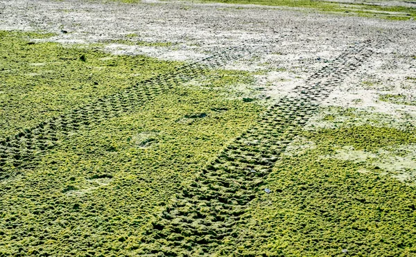 Voiture Tout Terrain Piste Pneus Sur Plage Sable Avec Des — Photo