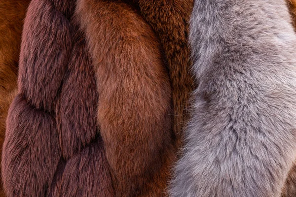 Red Brown Grey Wolf Fox Bear Fur Natural Έννοια Άγριας — Φωτογραφία Αρχείου