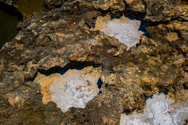 Salt Crystals Limestone Rock Blue Lagoon Camino Island Malta — Stock Photo, Image