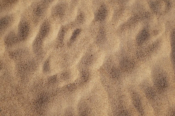 Texture Sable Sur Plage — Photo