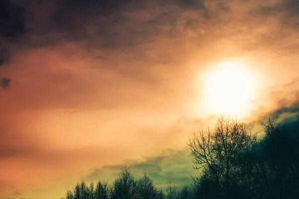 暗い雲を背景に太陽のある木のシルエット — ストック写真