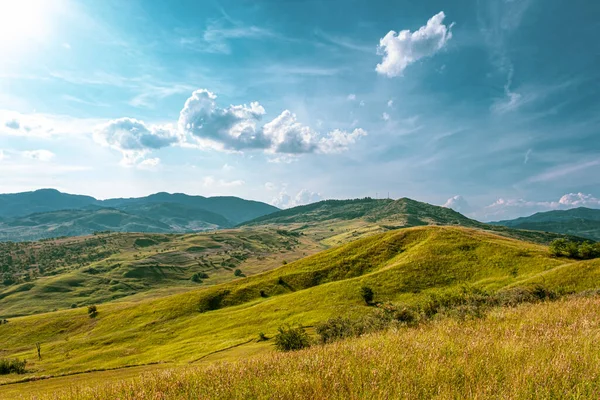 Vale Vale Chiojdului Pietriceaua Área Aldeia Chiojd Buzau County Montanhas — Fotografia de Stock