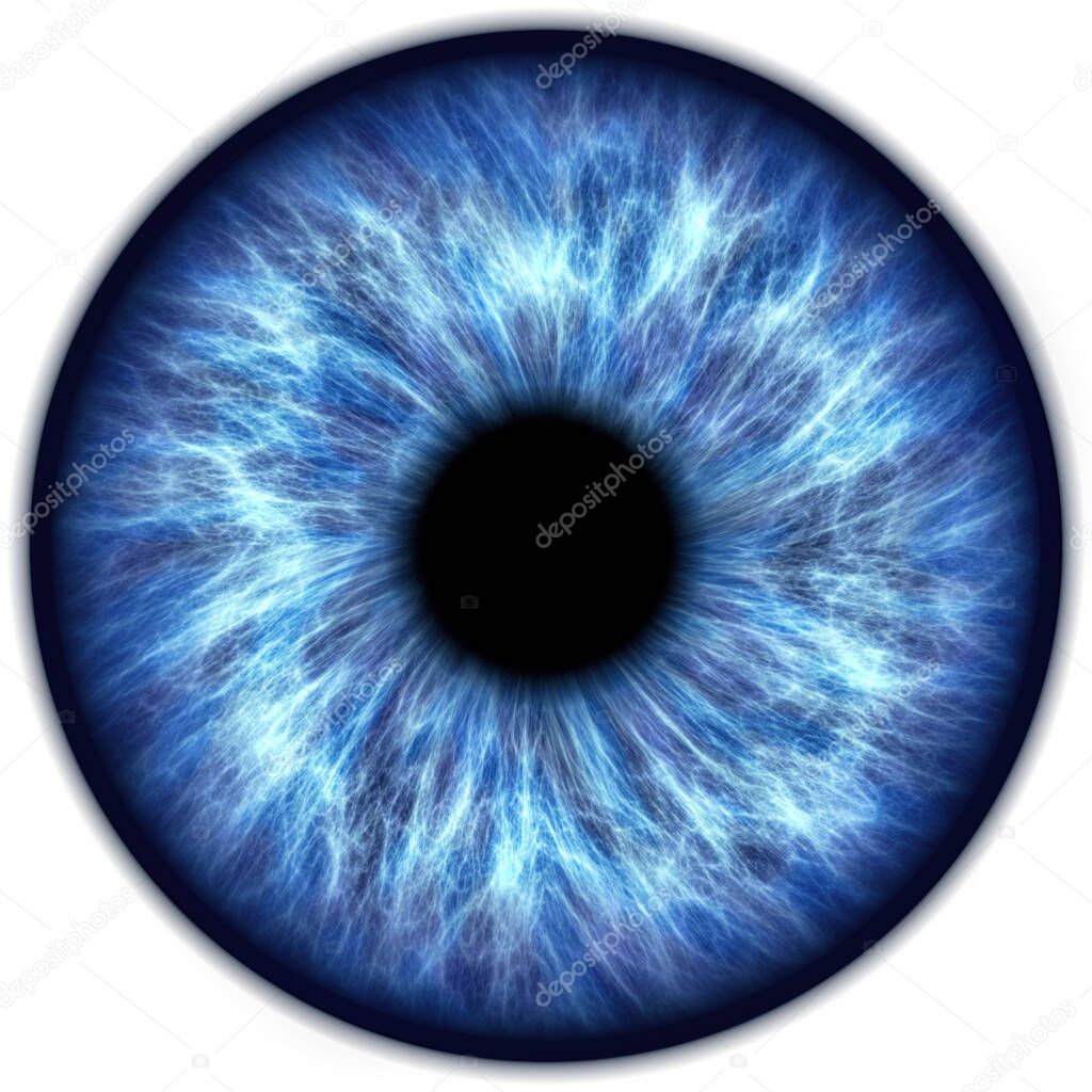 Illustration of a blue iris. Digital artwork creative graphic design