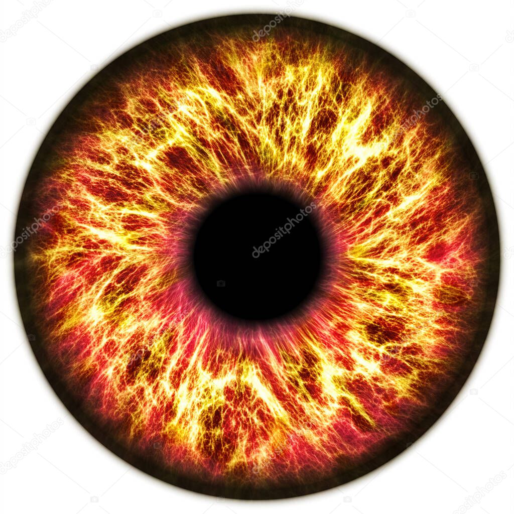 Illustration of a red human iris. Digital artwork creative graphic design.