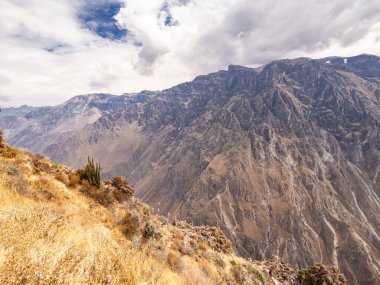 Cruz del Condor, Colca canyon, Peru