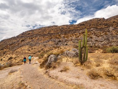Cruz del Condor, Colca canyon, Peru