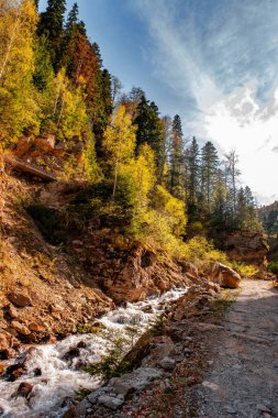 Fresh water flows over rocks & stones down a river bed, in a beautiful nature landscape