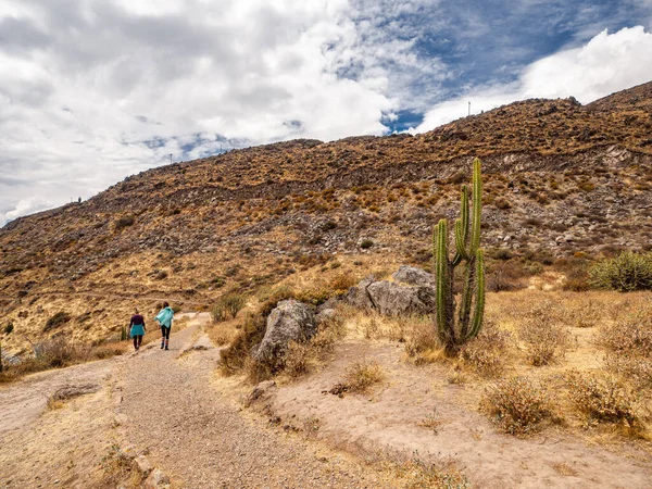 Cruz del Condor, Colca canyon, Peru