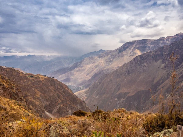 Cruz Del Condor Colca Canyon Peru — Stockfoto