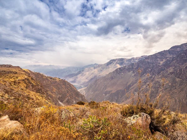 Cruz del Condor, Colca canyon, Peru