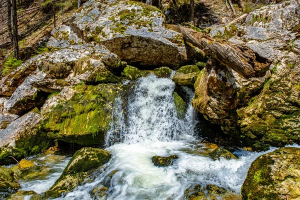 Fresh water flows over rocks & stones down a river bed, in a beautiful nature landscape