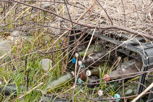 Glass Bottles Container Plastic Caps Thrown Nature — Photo