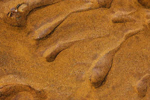 Gouden Zandduinen Het Strand — Stockfoto