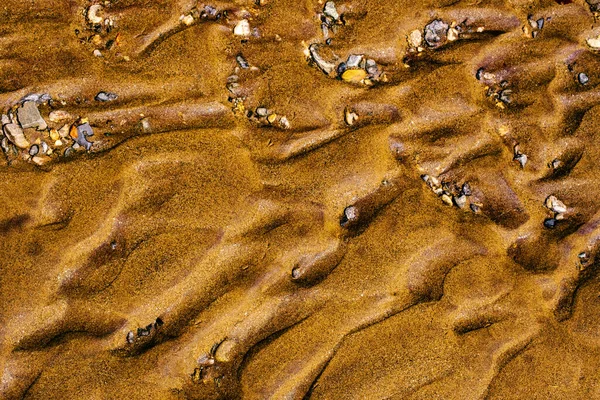 Χρυσοί Αμμόλοφοι Στην Παραλία — Φωτογραφία Αρχείου
