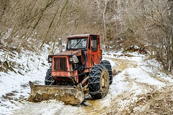 Harvester tractor snowy with wood trunks outside in forest.