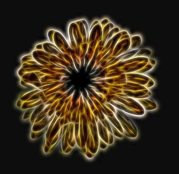 Illustration Electrify Flower Black Background — Zdjęcie stockowe