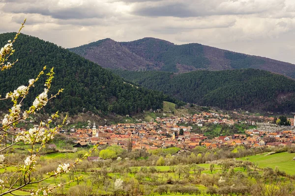 Panoramiczny Widok Wioskę Poplaca Transylwanii Rumunia — Zdjęcie stockowe