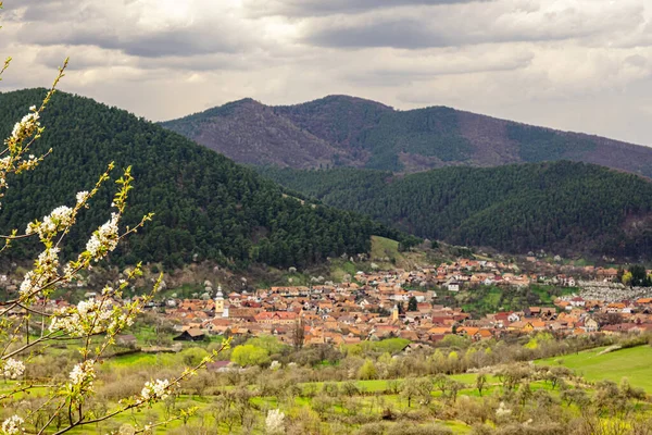 Панорамний Вид Село Поплака Трансільванії Румунія — стокове фото