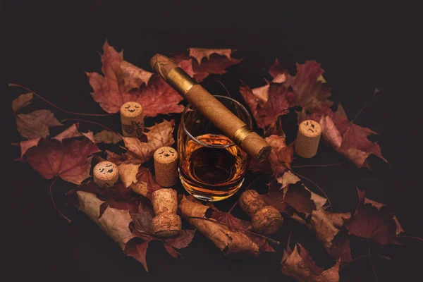 Quality Cigars Cognac Cork Plugs Amd Red Silk Leaves Black — Stock Photo, Image