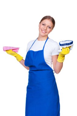 Halı ve fırça ile temizleyici