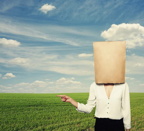 Mujer con bolsa de papel sobre campo verde —  Fotos de Stock