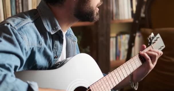男の歌と演奏ギター-ホーム — ストック動画