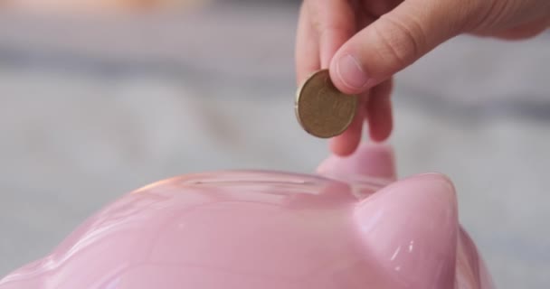 Inserting coin into piggy bank — Stockvideo
