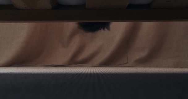 Fiú mobiltelefon zseblámpával néz az ágy alá — Stock videók