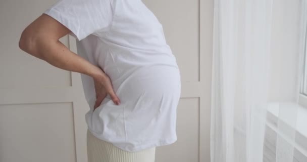 Midsection těhotné ženy s bolestí zad — Stock video