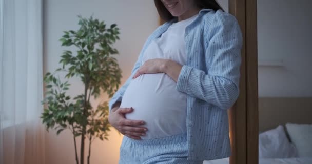 Mulher grávida acariciando sua barriga em casa — Vídeo de Stock