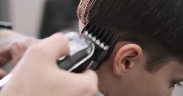 Boy getting haircut by hairdresser — Stock video