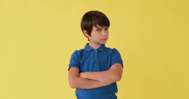Junge sagt Nein mit Stoppschild — Stockvideo