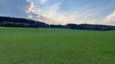 Çimlerin ve ormanın manzarası