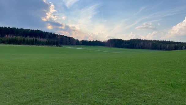 Malerischer Blick auf Grasfeld und Wald — Stockvideo