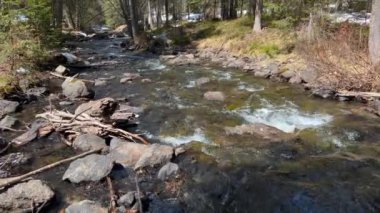 Ormandan akan nehir suyu