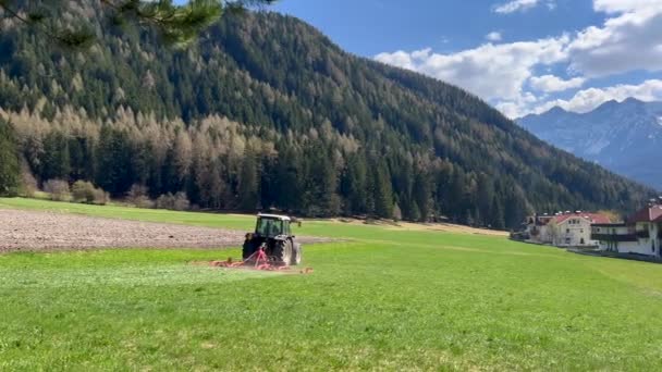 Traktor mäht Gras im Feld gegen Wald — Stockvideo