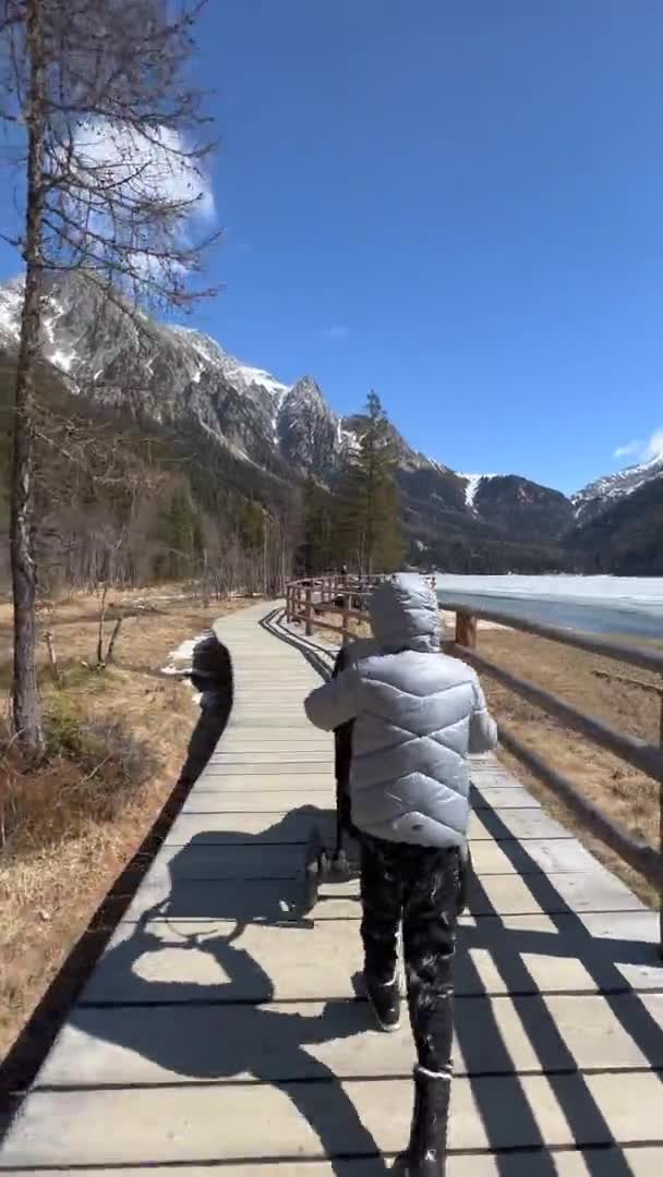 Achteraanzicht van jongen wandelen met wandelwagen op brug — Stockvideo
