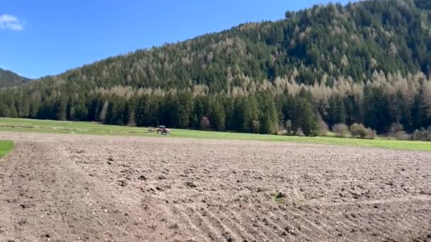 Traktor pflügt Feld gegen Wald — Stockvideo