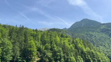 Gökyüzüne karşı orman manzaralı sıradağlar