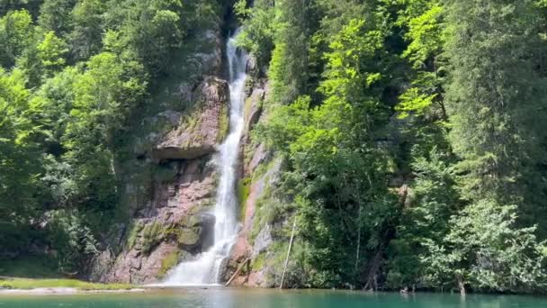 Vista Panorâmica Cachoeira Salpicando Sobre Rochas Montanha Floresta — Vídeo de Stock