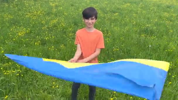 Мальчик Улыбается Размахивая Украинским Флагом Стоящим Поле — стоковое видео