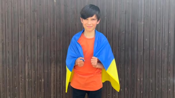 Щасливий Хлопчик Стоїть Махаючи Українським Прапором Проти Дерев Яного Паркану — стокове відео