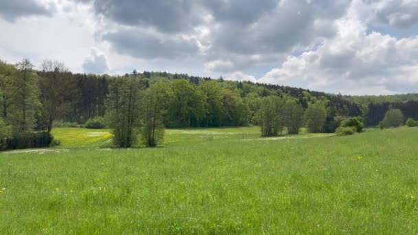 Szenische Ansicht Der Ländlichen Landschaft Durch Wald Und Himmel — Stockvideo